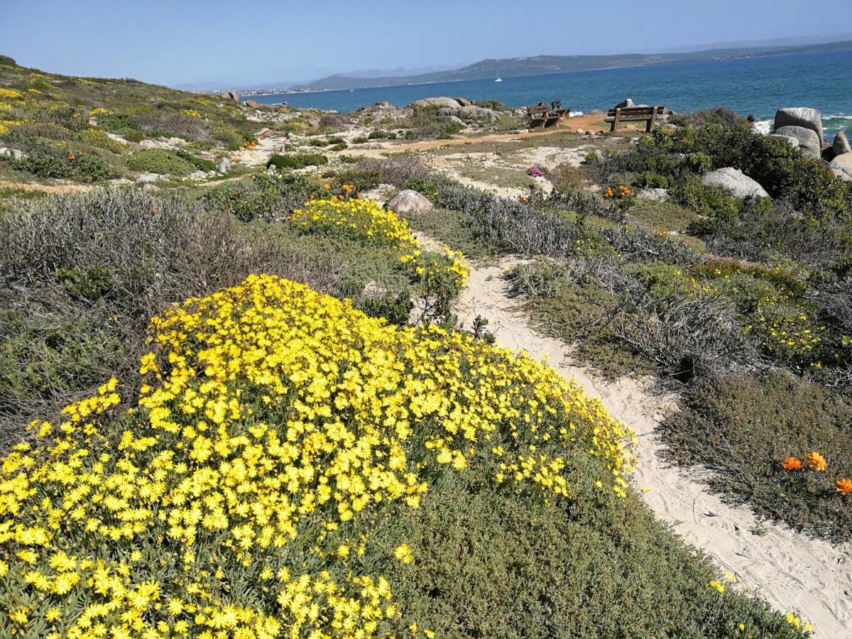 Langebaan Paradise Beach 9 Elara Exteriér fotografie